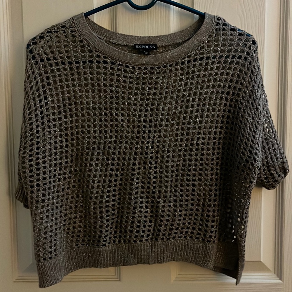 Express Sparkly Pullover Sweater